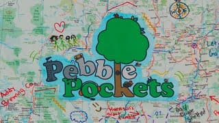 Introducing... Pebble Pockets!