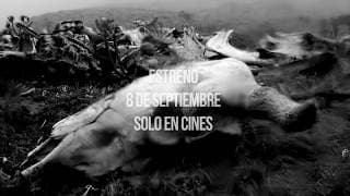 Trailer Chuquiragua