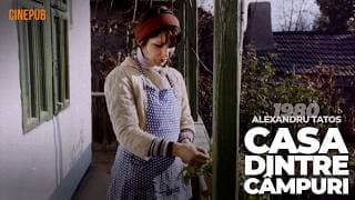 THE HOUSE BETWEEN THE FIELDS (1980) by Alexandru Tatos - online drama film on CINEPUB