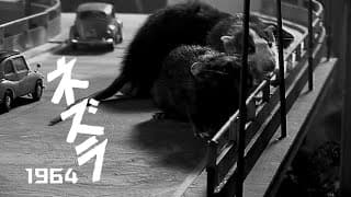 【12月19日公開】映画『ネズラ1964』予告編