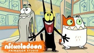 Theme Song - Episode Opening Credits