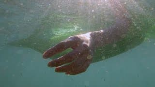 🩸 DEPREDADORES SOBRE EL MAR 🌊 | Cortometraje de terror y fantástico (2025)