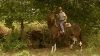 Tommy and The Cool Mule - Trailer