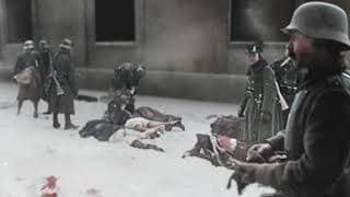 NOVOSADSKO SEĆANJE (NOVI SAD REMEMBRANCE) - TRAILER