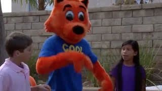 Cool Cat Finds A Gun Trailer