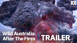 Wild Australia: After the Fires | Official Trailer