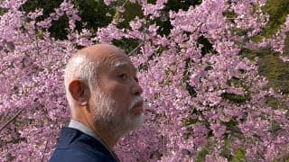 DIE REISE DES BASHO (Official Trailer / Deutsch)