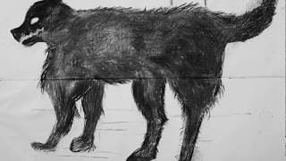 El Cuento del Perro