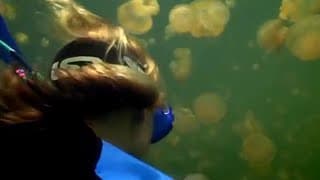 Snorkling with Golden Jellyfish | Pacific Abyss | BBC Earth