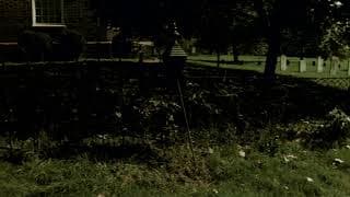 The Devonsville Train: Establishing Shots 2 (trailer)