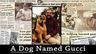 A DOG NAMED GUCCI - trailer #1