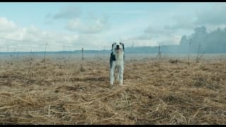Der Hund begraben Trailer [HD]