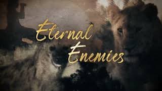 Eternal Enemies