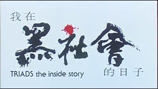 [Trailer] 我在黑社會的日子 ( Triads The Inside Story )