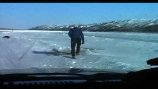 Being Caribou (Bullfrog Films clip)
