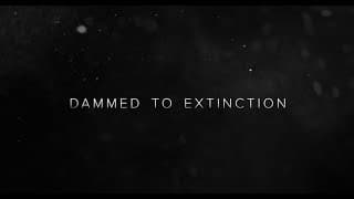 Dammed to Extinction - Official Trailer