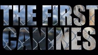 The First Canines - A Film by Owen Megura