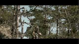 The Vet: Surgically Degraded (2012) - Trailer