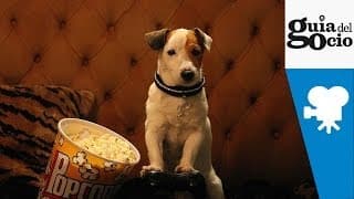 Pancho, el perro millonario - Trailer castellano