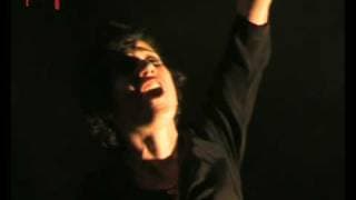 "PIAF" de Filipe La Féria - "Bravo"