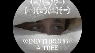 Wind Through a Tree