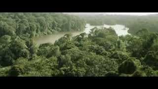 BANDE-ANNONCE "LA VIE PURE" DE JEREMY BANSTER