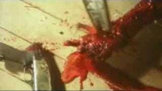 Leif Jonker's Darkness - trailer