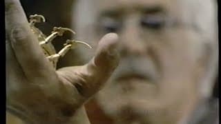 Original Trailer (VHS Capture)