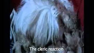 "Doggy Life" Hana Makhmalbaf