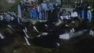 RAPA DAS BESTAS 1993 - FRAGMENTO DO FILME DE C. PIÑEIRO