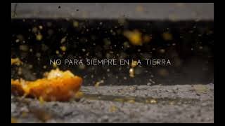 No para siempre en la Tierra/Not Forever on Earth