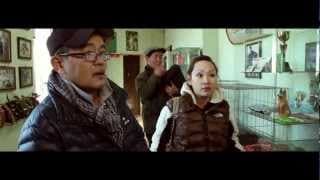 SARNII GULUG kino / САРНЫ ГӨЛӨГ уран сайхны кино
