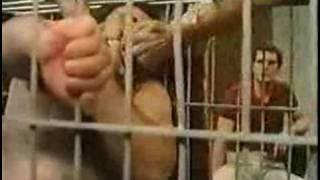 Circle of Power - Buddy in a cage