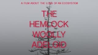The Hemlock Woolly Adelgid - Trailer