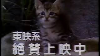 Cats In Park Avenue (公園通りの猫たち) CM