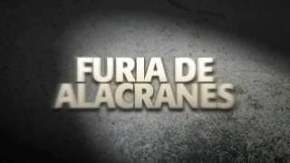 Furia de alacranes -Trailer Cinelatino LATAM