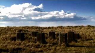 Rising Tide Trailer