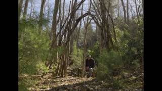 Somewhere Out There (2024) | Official Short Documentary Trailer