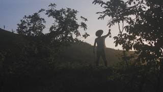 MANCHA E PLATANO - Official Trailer (HD)