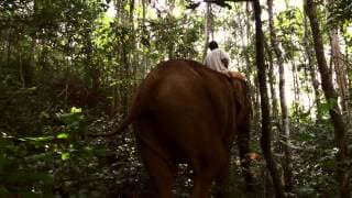 Last of the Elephant Men - Trailer