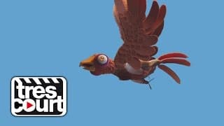 I believe I can fly - Chickens