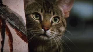 Original Theatrical Trailer