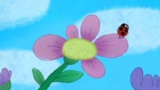 Ladybug