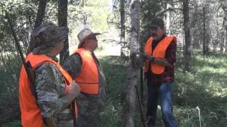 Game Camera Trailer