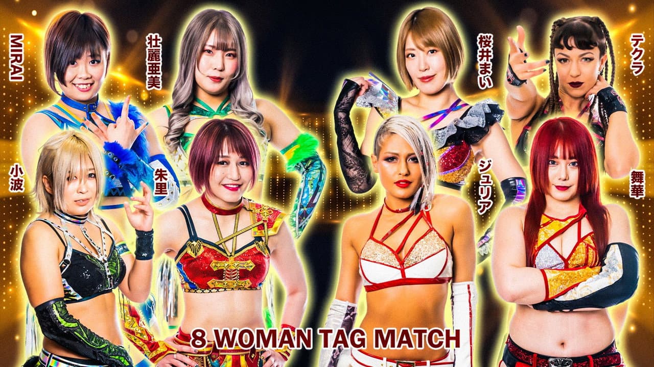 Stardom GoldenWeek Fight Tour 2023 in Fukuyama