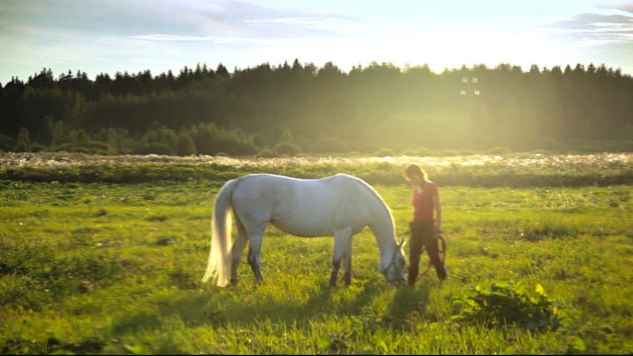 The Art of Communicating with Animals and People
