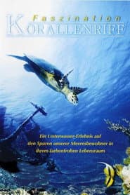 Fascination Coral Reef