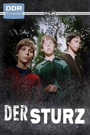 Der Sturz
