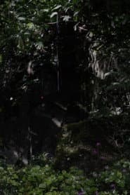 The Toby Tatum Guide to Grottoes & Groves