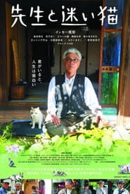 Teacher and Stray Cat